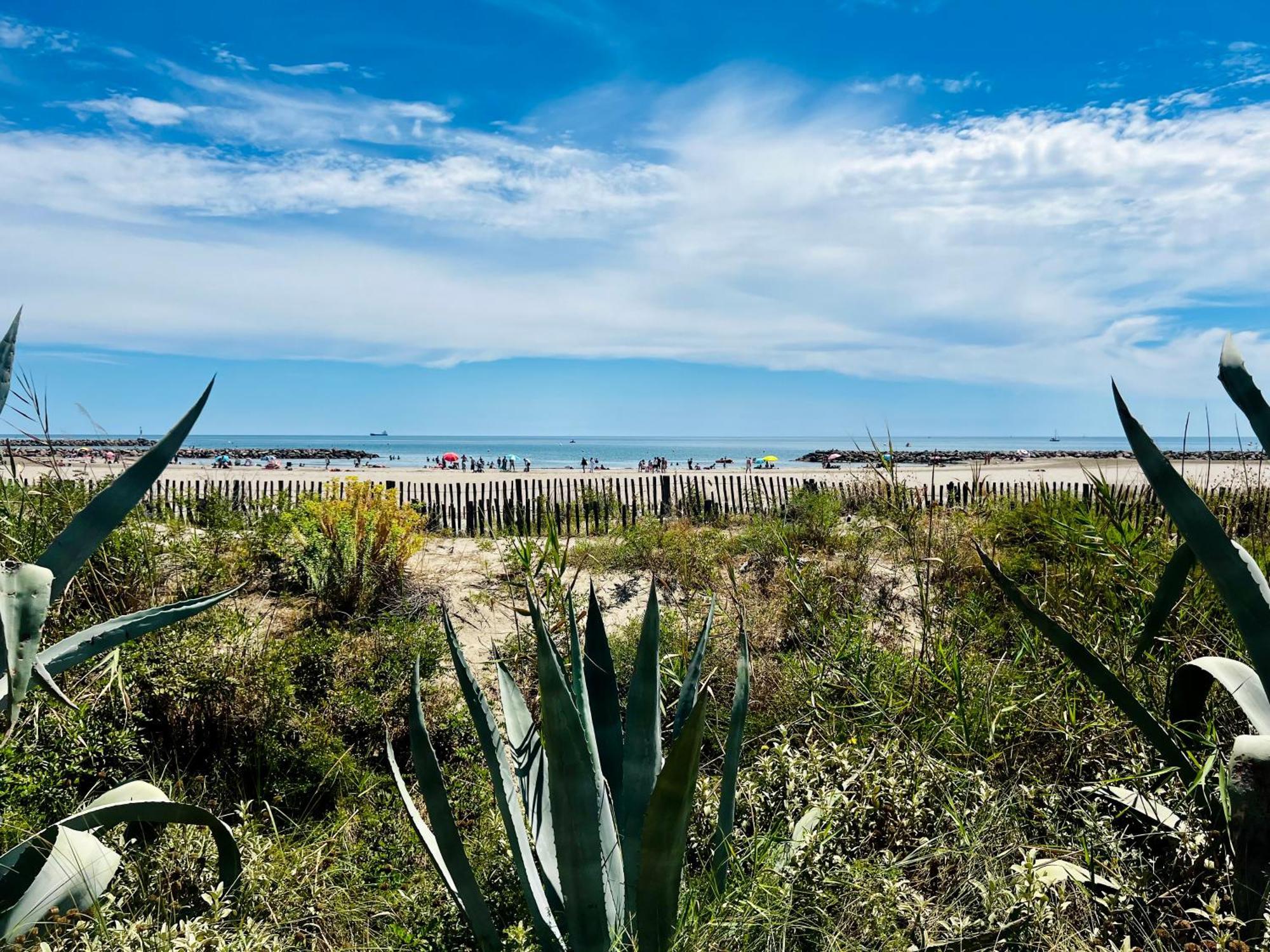En Bord De Sète